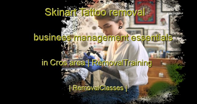 Skinart Tattoo removal business management essentials in Cros area | RemovalTraining | RemovalClasses | SkinartTraining-France